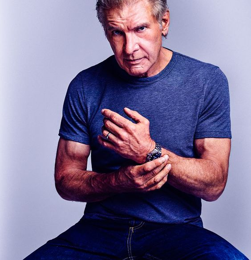 The Force Within: Decoding Harrison Ford’s Strategies for Surmounting Life’s Challenges