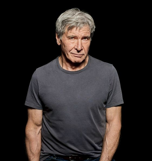 Discover the surprising ways Harrison Ford maintains humility even after reaching the pinnacle of success in Hollywood.