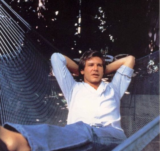 Unveiling the Enigmatic World: Inside Harrison Ford’s Surprisingly Simple Life
